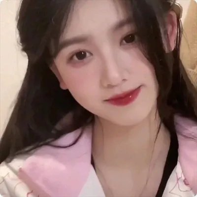 少数意见